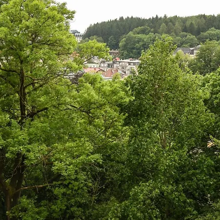 Rose * Mariánské Lázně